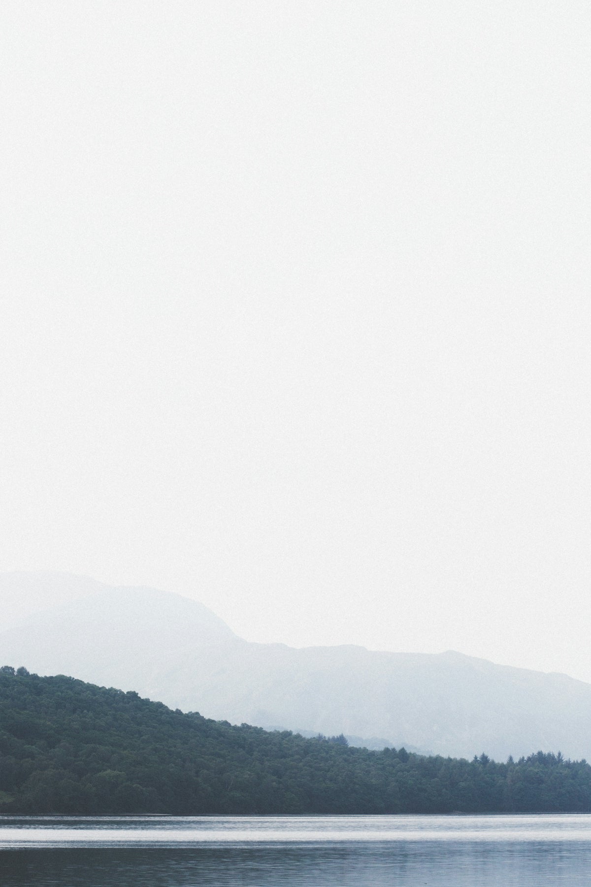 body of water and tree covered island during day