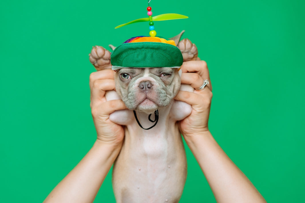 topless man with green and yellow cap