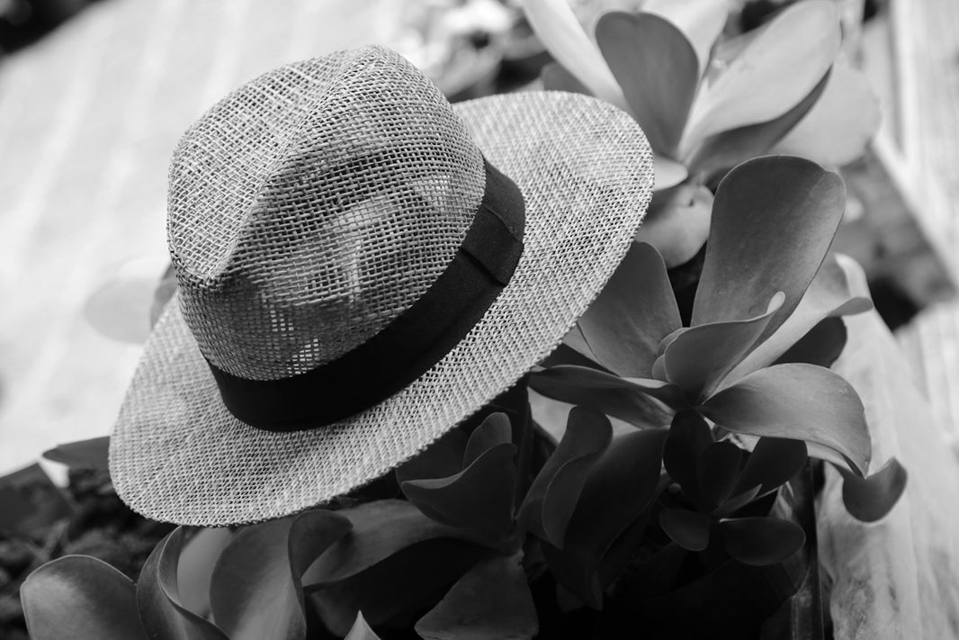 grayscale photo of hat with leaves