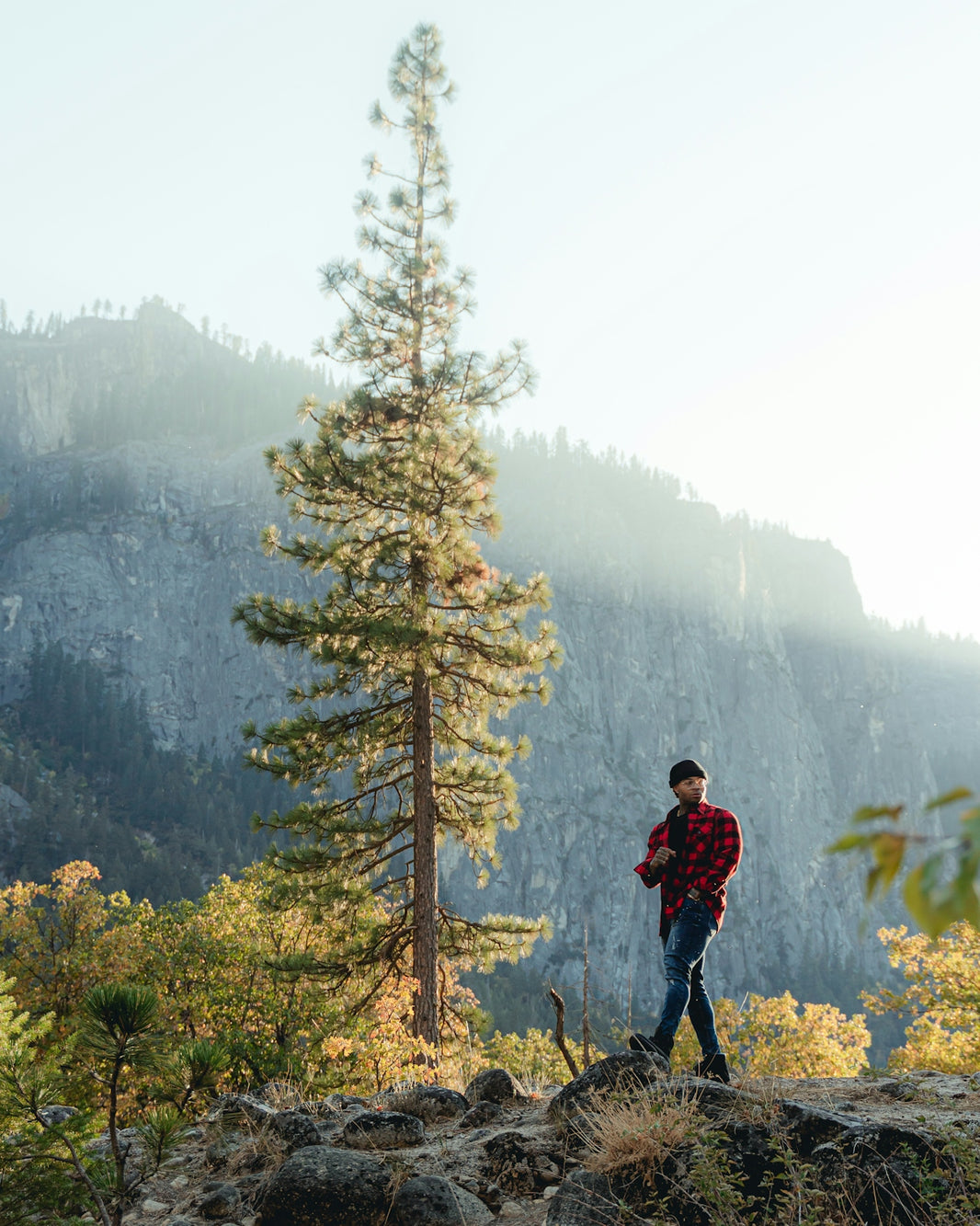 a man standing on top of a mountain next to a forest