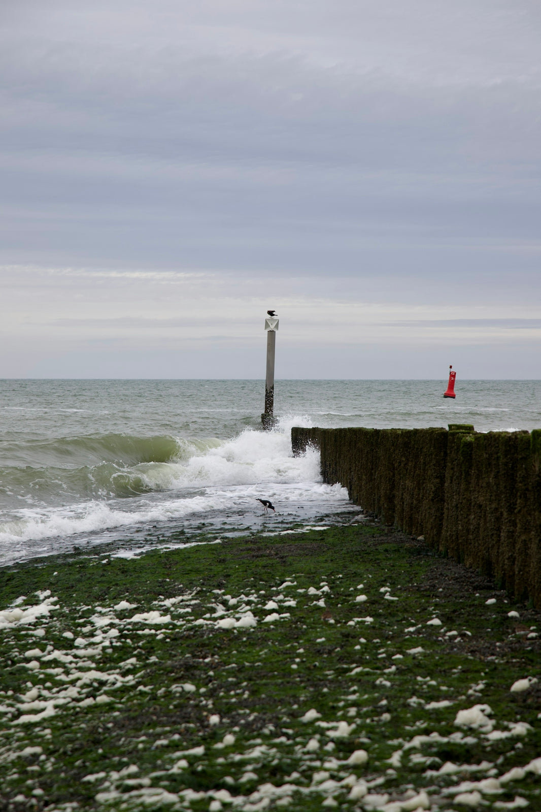 a lighthouse in the distance with a body of water in the foreground
