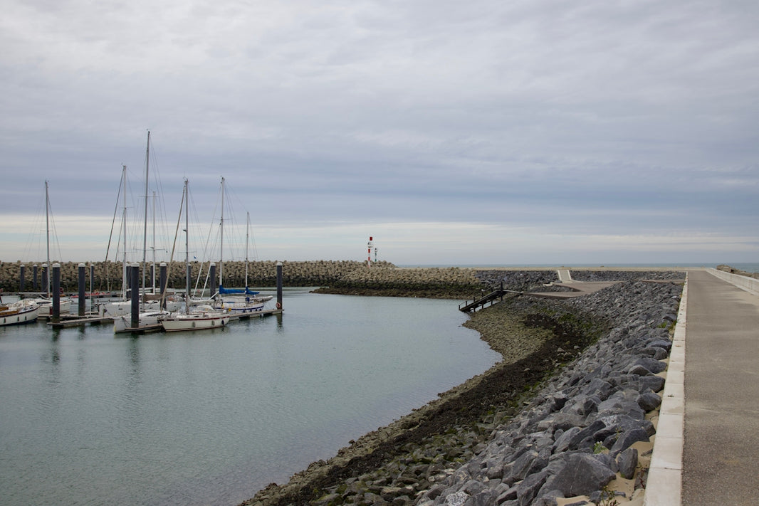 a body of water filled with lots of boats