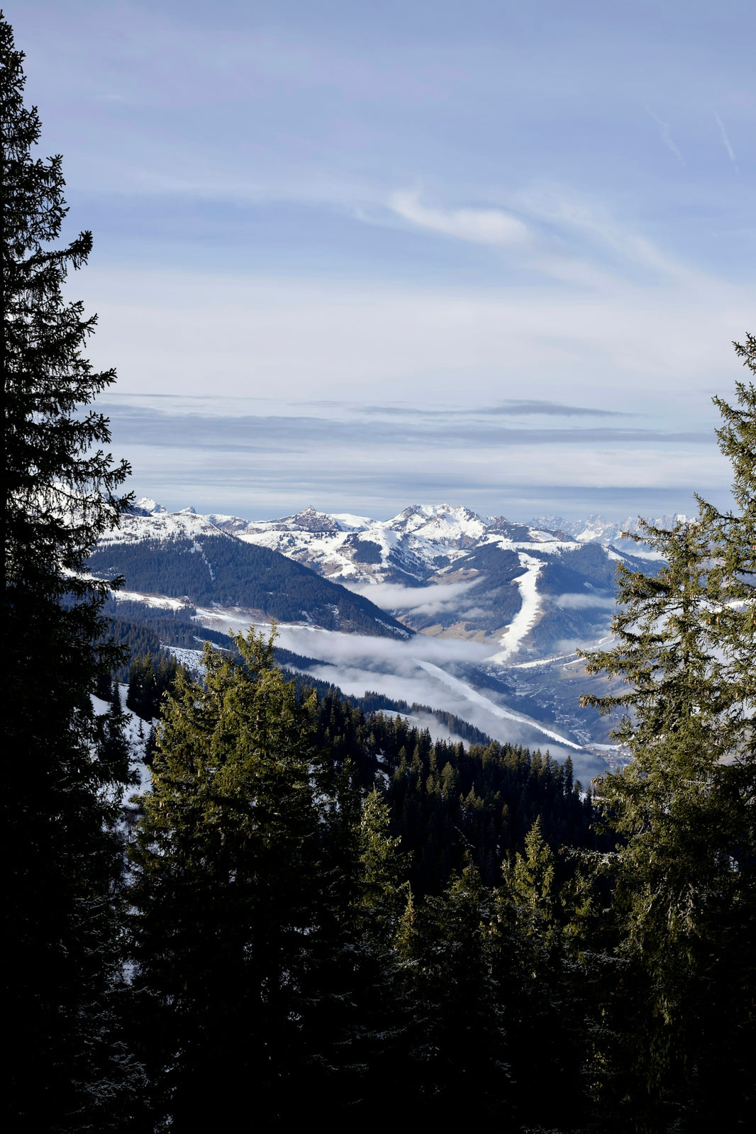 a view of a snowy mountain range with pine trees