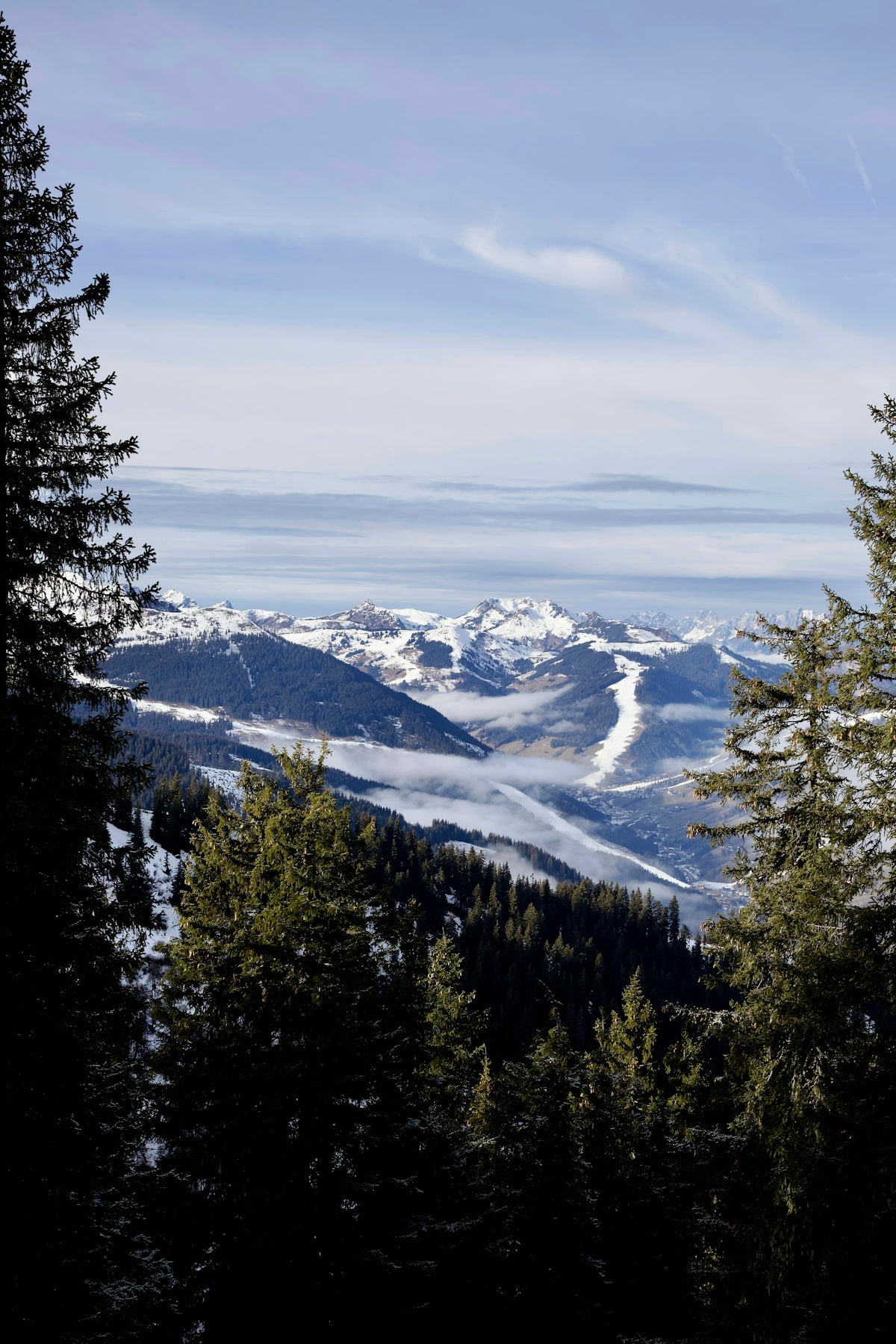 a view of a snowy mountain range with pine trees