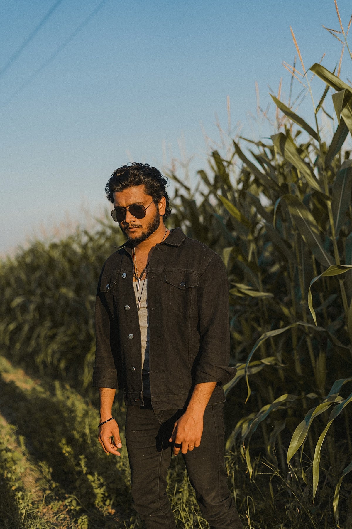 a man standing in a field of corn