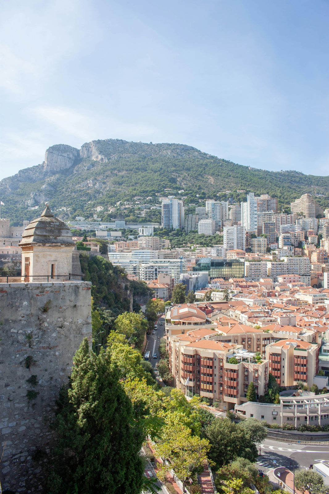 Cityscape with historic tower and green mountains