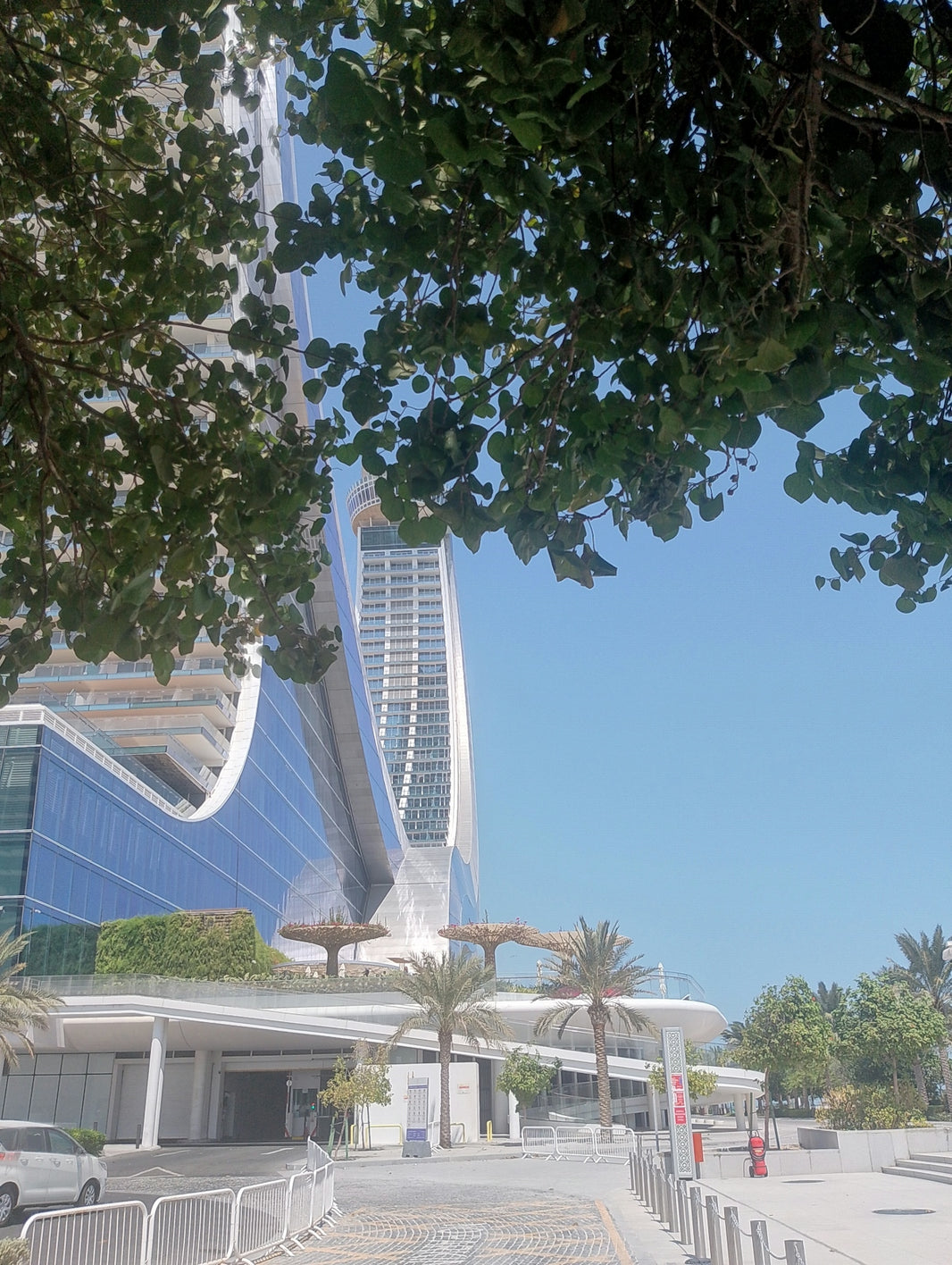 Modern architecture with curved glass facade and palm trees.