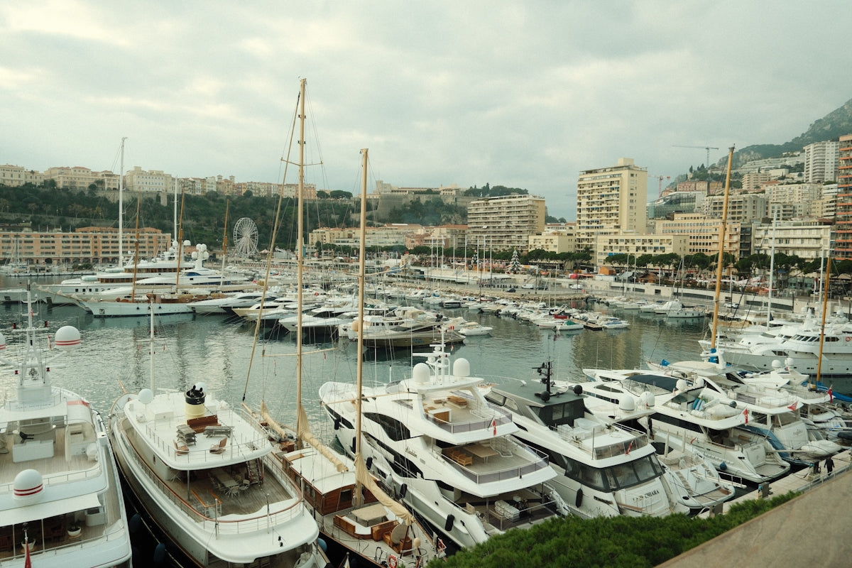 Many yachts docked in a harbor with city buildings.