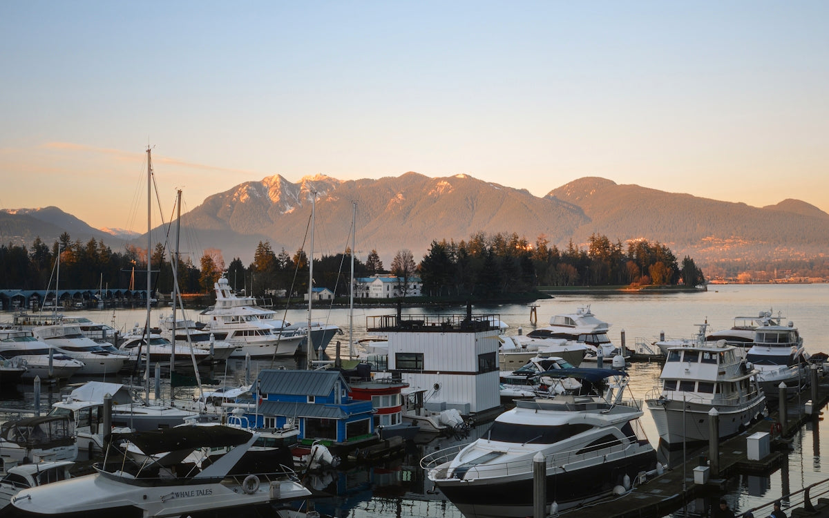 Boats docked in a harbor with mountains in background