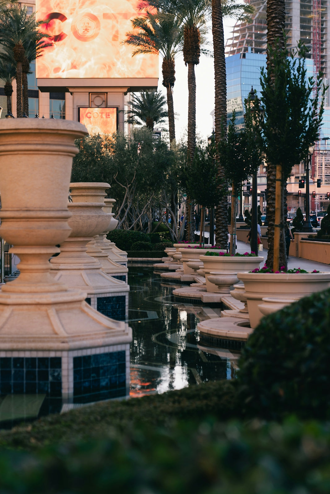 Ornate planters line a reflecting pool with palm trees.