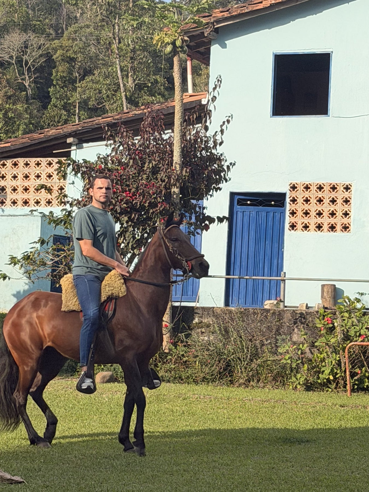 The family farm in Colombia where the Paso Fino photo was taken, horse and rider on the lawn